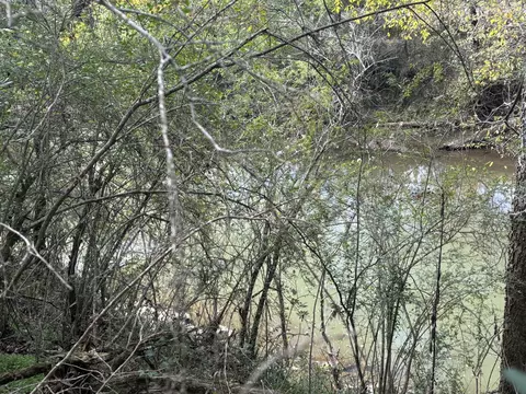 View/Area - 1893 Briar Patch Rd, Prospect, TN 38477 photo 5 of 6
