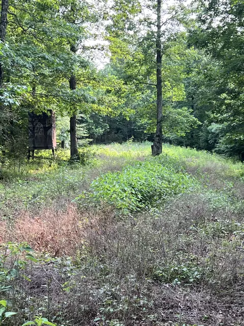 1 Cane Creek Rd, Hohenwald, TN 38462