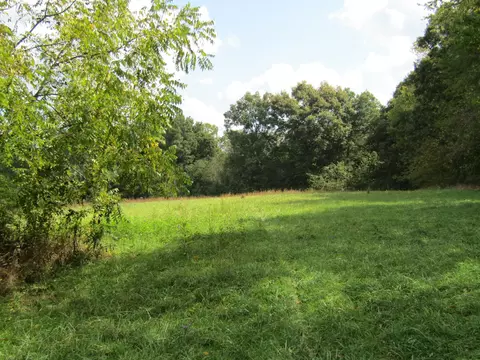 3 09 Ac Hack Beaty Rd, Grimsley, TN 38565 photo 4