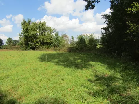 3 09 Ac Hack Beaty Rd, Grimsley, TN 38565 photo 9