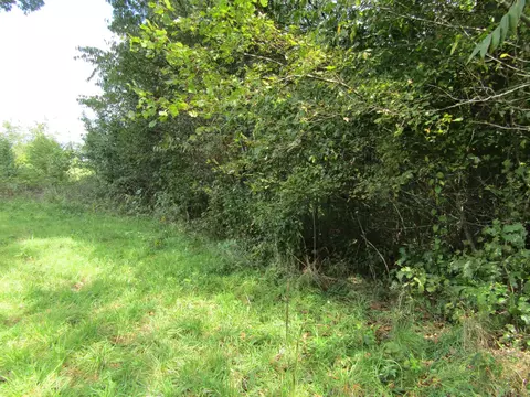 3 09 Ac Hack Beaty Rd, Grimsley, TN 38565 photo 8