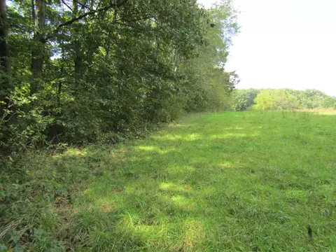 3 09 Ac Hack Beaty Rd, Grimsley, TN 38565 photo 10