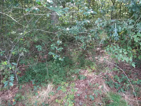 3 09 Ac Hack Beaty Rd, Grimsley, TN 38565 photo 24