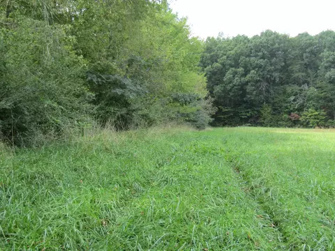 3 09 Ac Hack Beaty Rd, Grimsley, TN 38565 photo 2