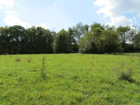 3 09 Ac Hack Beaty Rd, Grimsley, TN 38565 photo 11
