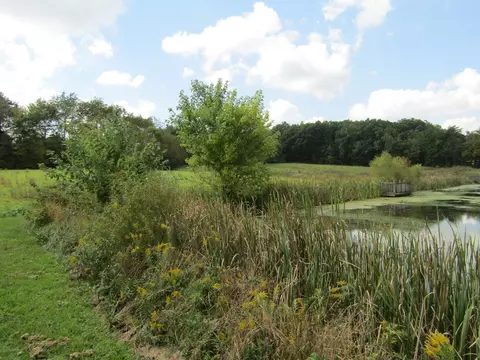 3 09 Ac Hack Beaty Rd, Grimsley, TN 38565 photo 26