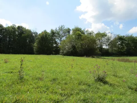 3 09 Ac Hack Beaty Rd, Grimsley, TN 38565 photo 13