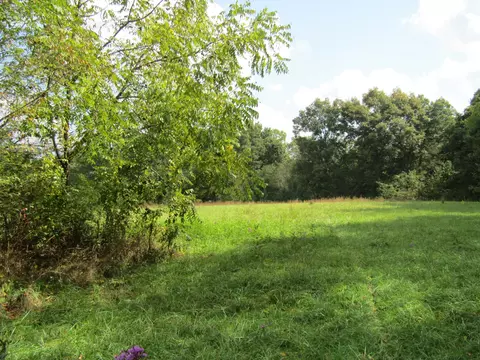 3 09 Ac Hack Beaty Rd, Grimsley, TN 38565 photo 5