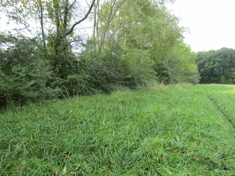 3 09 Ac Hack Beaty Rd, Grimsley, TN 38565 photo 3