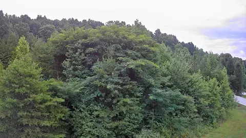 0 W Park Cir, Decatur, TN 37322