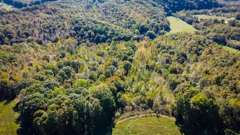 93 Lodi Rd, Westpoint, TN 38486 photo 2