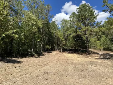 93 Lodi Rd, Westpoint, TN 38486 photo 5