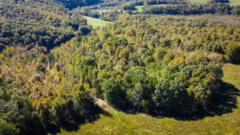 93 Lodi Rd, Westpoint, TN 38486 photo 21