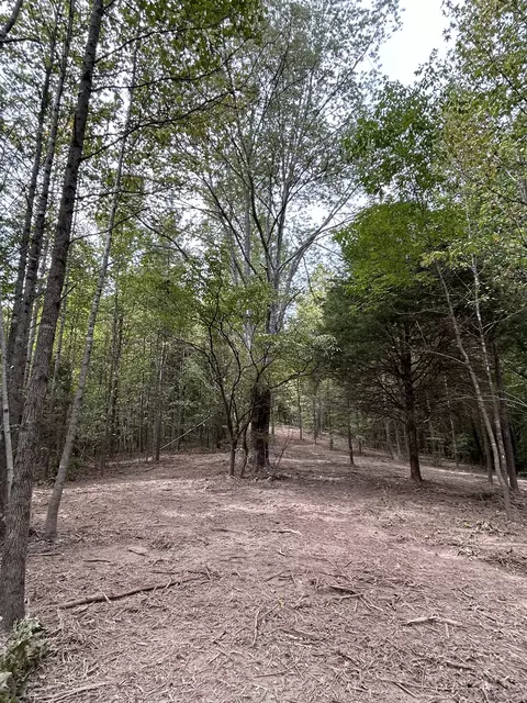93 Lodi Rd, Westpoint, TN 38486 photo 9