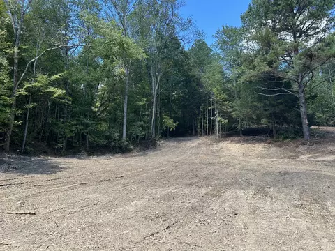 93 Lodi Rd, Westpoint, TN 38486 photo 13