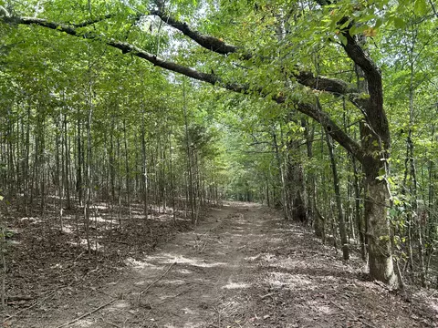 93 Lodi Rd, Westpoint, TN 38486 photo 4