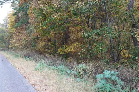 0 Miles Rd, Murfreesboro, TN 37129 photo 13