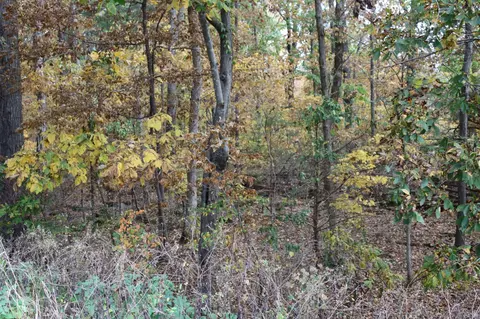 0 Miles Rd, Murfreesboro, TN 37129 photo 14