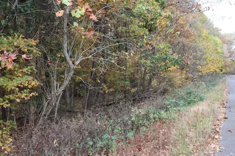 0 Miles Rd, Murfreesboro, TN 37129 photo 12