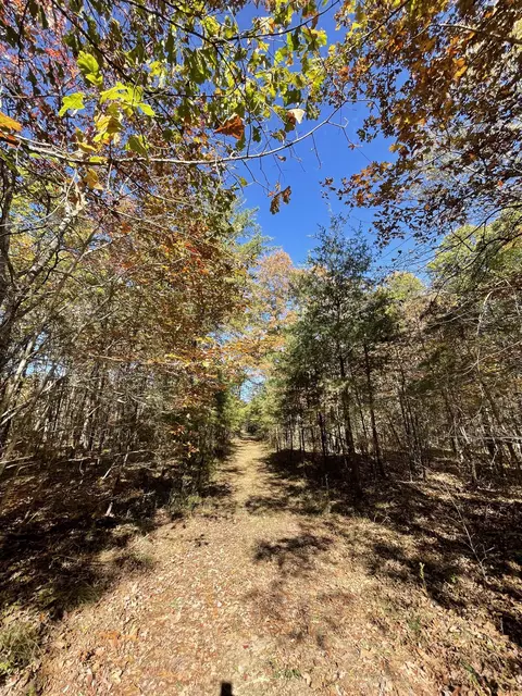 0 Pleasant Hill Cemetery Rd, Rock Island, TN 38581