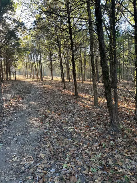 5 Atkinson Rd, Lebanon, TN 37090
