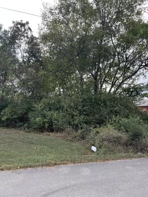 2905 Morgan Ave, Chattanooga, TN 37404