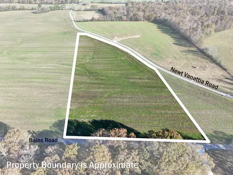 0 Bains Rd Tract, Hillsboro, TN 37342