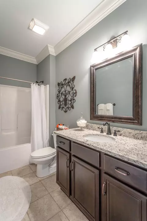 8462 River Birch Loop, Ooltewah, TN 37363 photo 30
