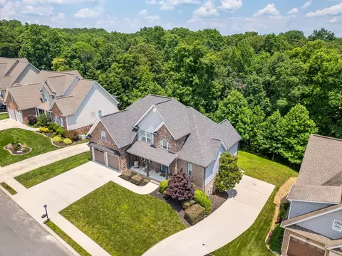 10094 Meadowstone Dr, Apison, TN 37302 photo 53