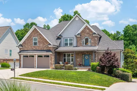 10094 Meadowstone Dr, Apison, TN 37302 photo 2