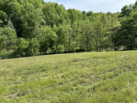 0 Massey Hollow Rd, Elmwood, TN 38560