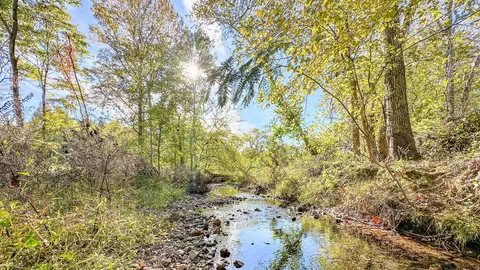 0 Forrester Rd, Mcewen, TN 37101