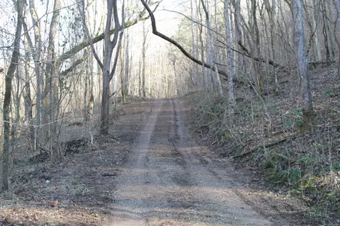 0 Williford Ln, Gainesboro, TN 38562