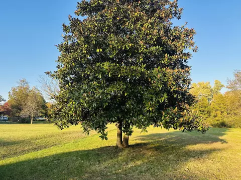 4 Sims Dr, Flintville, TN 37335