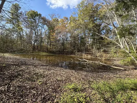View/Area - 1680 Bertha Owen Rd, Morrison, TN 37357 photo 10 of 10