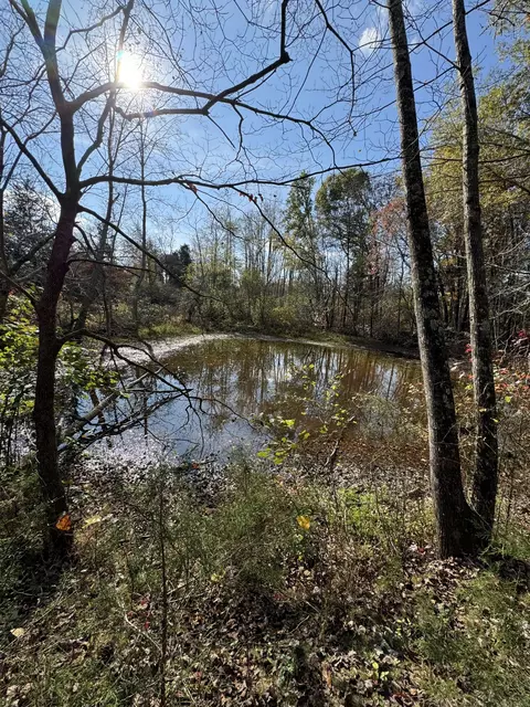 View/Area - 1680 Bertha Owen Rd, Morrison, TN 37357 photo 9 of 10