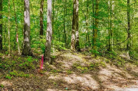 0 Bolestown Loop #LOT 3, Alpine, TN 38543