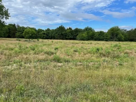0 N Dickerson Chapel Rd, Lebanon, TN 37087