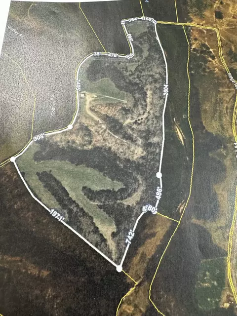 1234 Ridgetop Rd, Scottsville, KY 42164