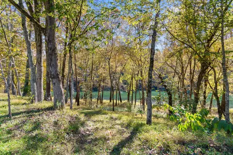 90 Judd Ln, Lancaster, TN 38569 photo 44