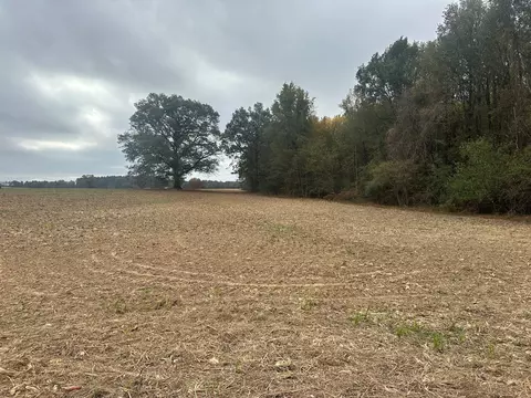 0 Stevenson Rd # B, Ardmore, TN 38449