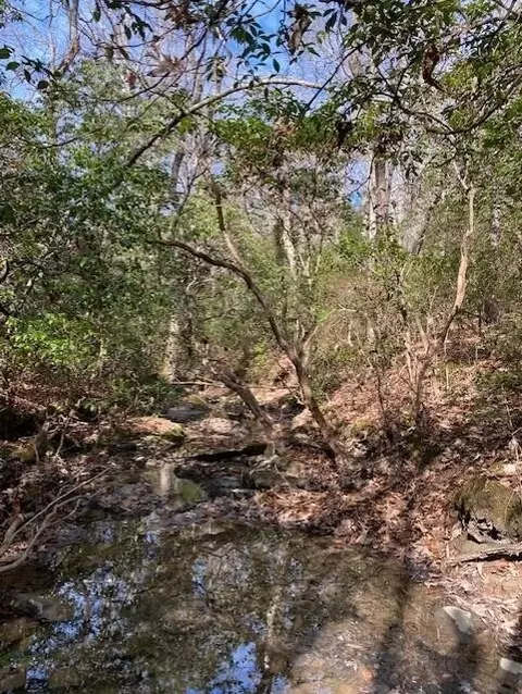1 Thomas Springs Rd, Crossville, TN 38572