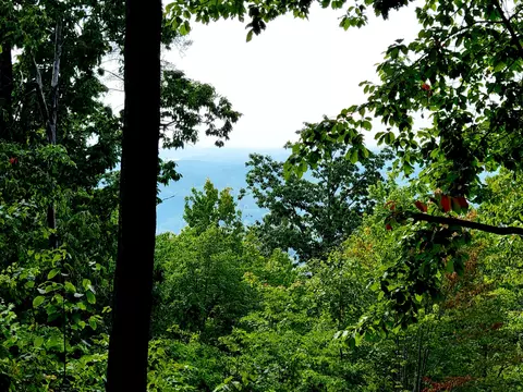 127 Riddle Rd, Dayton, TN 37321