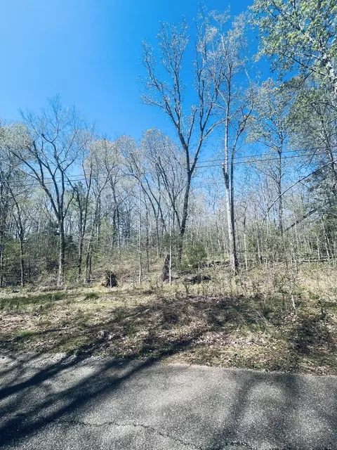 0 Iron Horse Trl, Parsons, TN 38363