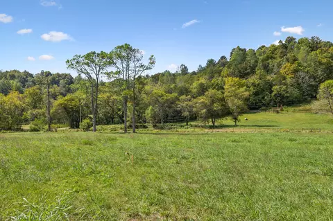 3 Young Rd, Pulaski, TN 38478 photo 9