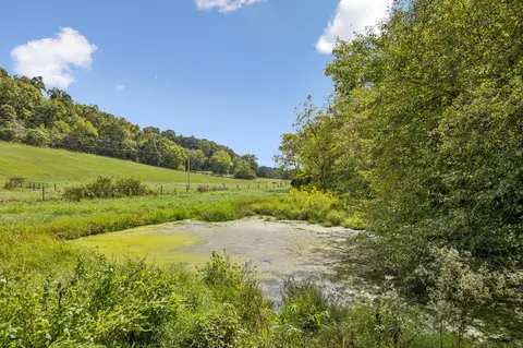 3 Young Rd, Pulaski, TN 38478 photo 6
