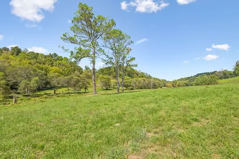 3 Young Rd, Pulaski, TN 38478 photo 7