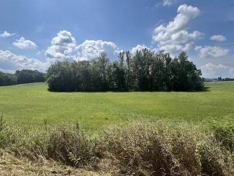 0 Gum Springs Mountain Rd, Walling, TN 38587