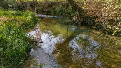 0 Waterfork Rd E, Ethridge, TN 38456