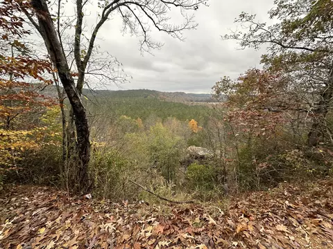 17 Wisdom Rd, Westpoint, TN 38486 photo 32